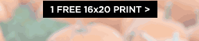 1 FREE 16×20 PRINT