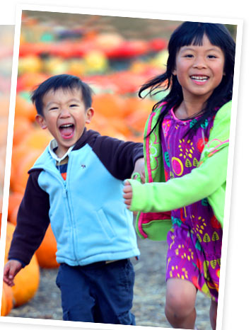 JACK-O-LANTERNS ONLY LAST A FEW DAYS. MEMORIES? A FEW DECADES. CAPTURE FALL MOMENTS WITH ONE FREE GIFT* 101 FREE 4×6 PRINTS OR 1 FREE 16×20 PRINT