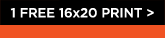 1 FREE 16×20 PRINT