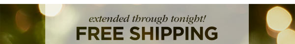 EXTENDED THROUGH TONIGHT! FREE SHIPPING ON ORDERS $49+*