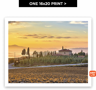 One 16x20 Print