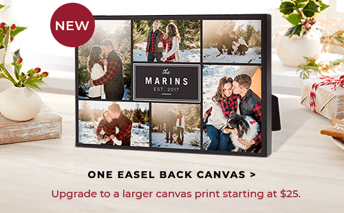 ONE EASEL BACK CANVAS