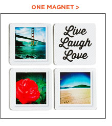 ONE MAGNET