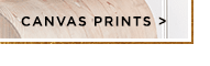 CANVAS PRINTS