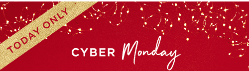 TODAY ONLY CYBER MONDAY