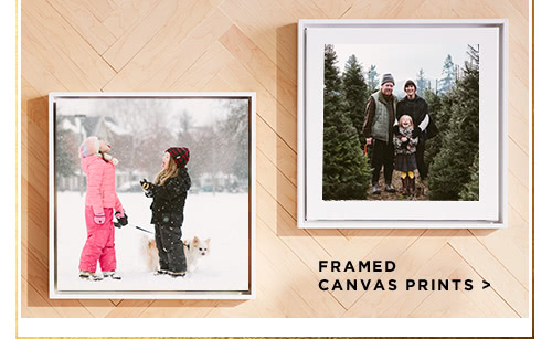 Framed Canvas Prints