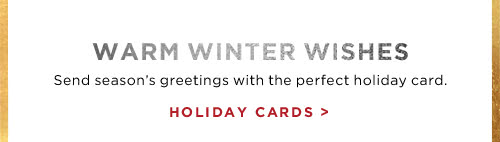 WARM WINTER WISHES - HOLIDAY CARDS