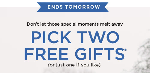PICK TWO FREE GIFTS* (or just one if you like)