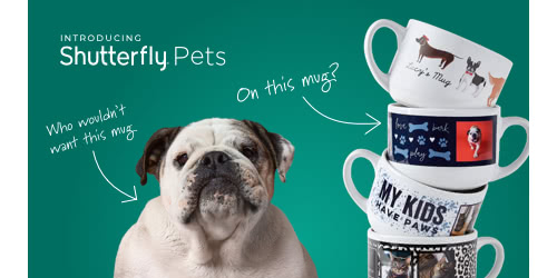 New Pets Collection