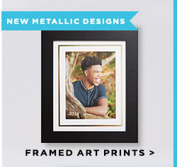 Framed Art Prints