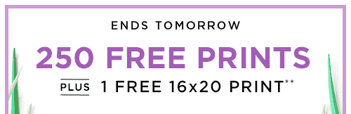 250 FREE PRINTS PLUS 1 FREE 16x20 PRINT**