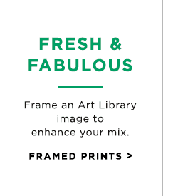 FRAMED PRINTS