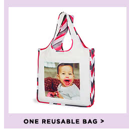 ONE REUSABLE BAG