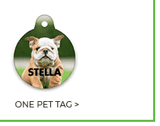 ONE PET TAG