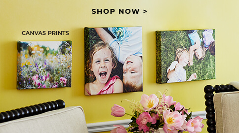 SHOP NOW - CANVAS PRINTS