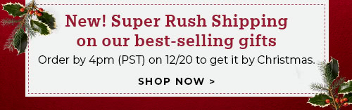Order by 4pm (PT) on 12/20 to get it by Christmas - Shop Now