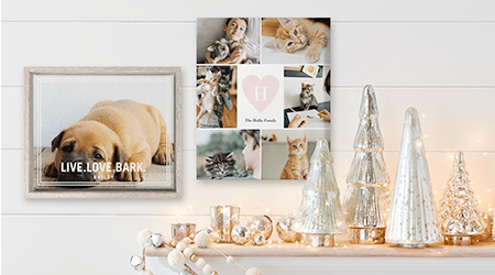 CANVAS PRINTS