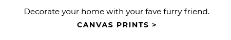 CANVAS PRINTS