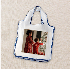 ONE REUSABLE BAG