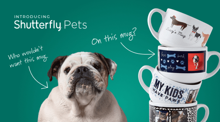 NEW PETS COLLECTION