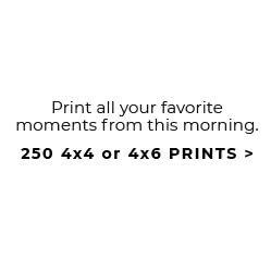 250 4x4 or 4x6 Prints