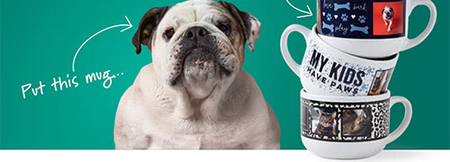 Shutterfly Pets