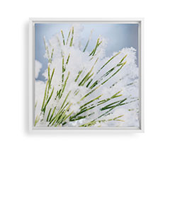 Home Decor & Home Accents | Shutterfly