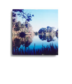 design a wall | wall decor | home decor | shutterfly design a wall | wall decor | home decor | shutterfly