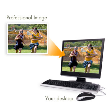Download pictures from shutterfly to computer
